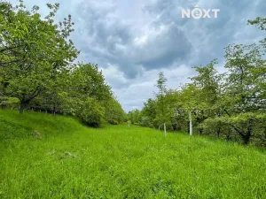 Prodej sadu/vinice, Lhenice, 3223 m2
