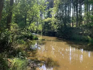 Prodej chalupy, Střelice, 89 m2