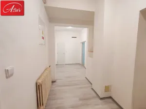 Pronájem bytu 3+1, Teplice, U Hadích lázní, 107 m2