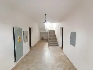 Pronájem bytu 3+kk, Planá, Karlín, 61 m2