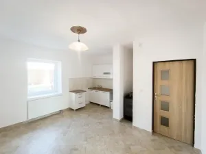 Prodej bytu 3+kk, Planá, Karlín, 61 m2