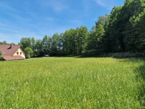 Prodej pozemku pro bydlení, Hrubá Skála, 3894 m2