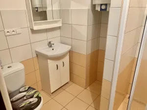 Pronájem bytu 1+kk, Praha - Michle, Počátecká, 24 m2