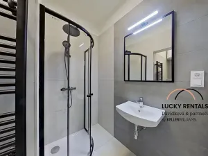 Pronájem bytu 1+1, Praha - Podolí, U Kublova, 41 m2