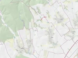 Dražba lesa, Jalubí, 659 m2