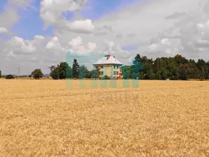 Prodej domu na klíč, Uničov, 144 m2
