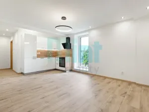 Prodej bytu 2+kk, Háj ve Slezsku, Slezská, 48 m2