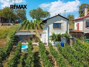 Prodej vinného sklepa, Tvrdonice, 46 m2