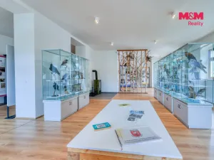 Prodej historického objektu, Manětín - Rabštejn nad Střelou, 1250 m2