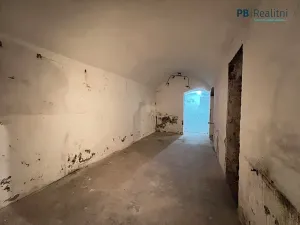Prodej komerční nemovitosti, Praha - Karlín, Křižíkova, 235 m2