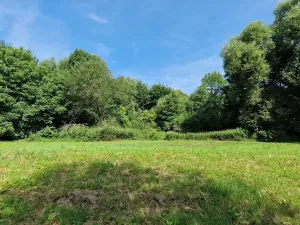 Prodej pozemku pro bydlení, Jedlá, 2598 m2
