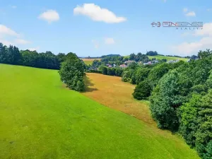 Prodej pozemku pro bydlení, Horní Branná, 19664 m2