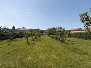 Prodej rodinného domu, Dašice, Nábřeží, 120 m2