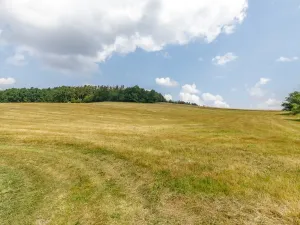 Prodej domu, Neveklov - Borovka, 550 m2