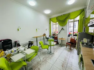 Pronájem apartmánu, Karlovy Vary, Zámecký vrch, 200 m2