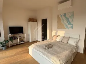 Pronájem bytu 1+kk, Praha - Holešovice, V háji, 36 m2