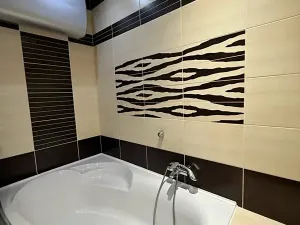 Prodej bytu 3+1, Olomouc, Masarykova třída, 75 m2