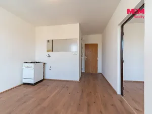Prodej bytu 1+1, Sokolov, Slavíčkova, 37 m2
