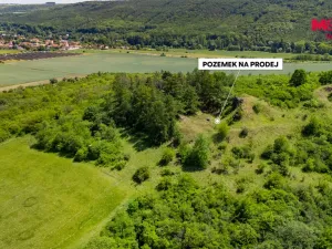 Prodej lesa, Libochovice - Dubany, 8199 m2