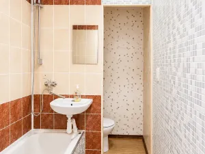 Pronájem bytu 2+kk, České Budějovice, Větrná, 60 m2