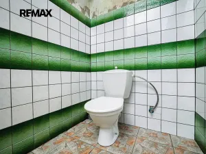 Prodej rodinného domu, Úterý, 677 m2