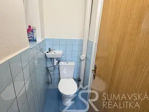 Pronájem rodinného domu, Horažďovice, Předměstí, 200 m2