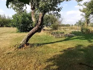 Prodej pozemku pro bydlení, Kotenčice, 1270 m2