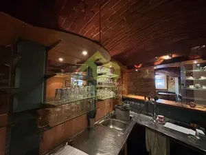 Prodej činžovního domu, Plzeň, Lindauerova, 776 m2