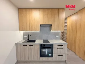 Prodej bytu 1+kk, České Budějovice - České Budějovice 3, Plzeňská, 21 m2