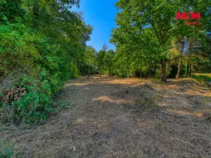 Prodej zahrady, Velký Bor - Slivonice, 2248 m2