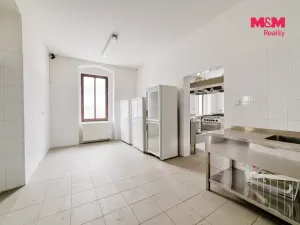 Prodej rodinného domu, Stráž nad Ohří - Boč, 500 m2
