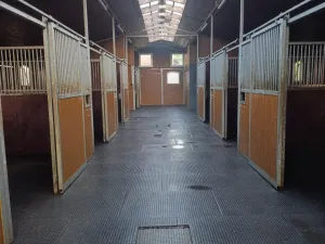 Pronájem zemědělského objektu, Hrádek nad Nisou - Václavice, 352 m2