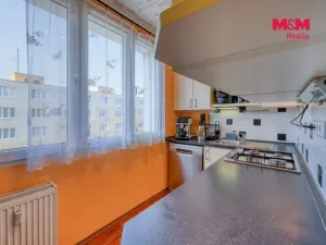 Prodej bytu 4+1, Heřmanova Huť - Vlkýš, Sídliště, 87 m2