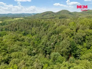 Prodej louky, Nosálov - Libovice, 13358 m2