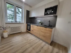 Prodej bytu 2+1, Brno - Pisárky, Preslova, 56 m2