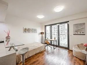 Pronájem bytu 1+kk, Praha - Žižkov, Olšanská, 36 m2