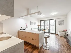 Pronájem bytu 1+kk, Praha - Žižkov, Olšanská, 36 m2