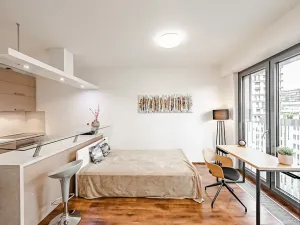 Pronájem bytu 1+kk, Praha - Žižkov, Olšanská, 36 m2