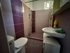 Prodej rodinného domu, Nučice, Tyršova, 250 m2
