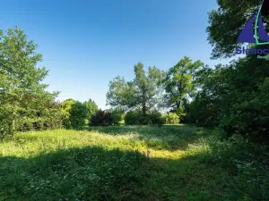 Prodej zemědělské usedlosti, Krupá, 285 m2