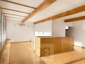 Pronájem bytu 4+kk, Praha - Vokovice, Irská, 153 m2