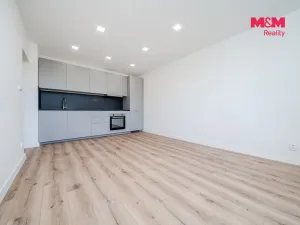 Prodej bytu 2+kk, Frýdek-Místek - Frýdek, Gogolova, 40 m2