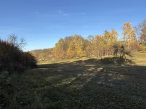 Prodej pole, Humpolec, 8551 m2