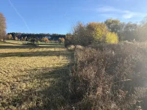 Prodej pole, Humpolec, 8551 m2
