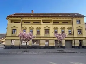 Prodej bytu 1+kk, Brno, 30 m2