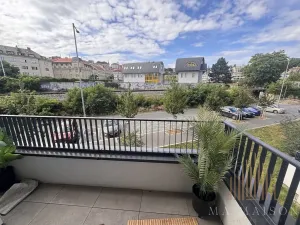 Pronájem bytu 2+kk, Praha - Nusle, Závišova, 42 m2