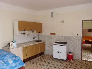 Prodej rodinného domu, Jenišovice - Mravín, 100 m2