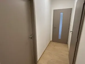 Pronájem bytu 2+kk, České Budějovice, Průběžná, 42 m2