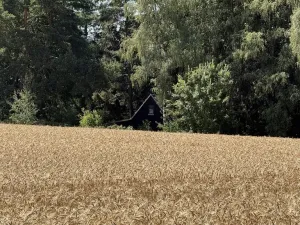 Prodej chaty, Borová, 53 m2