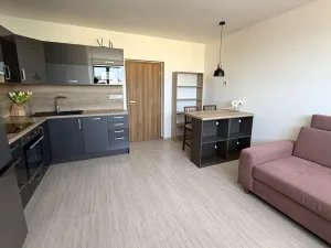 Pronájem bytu 2+kk, Brno - Židenice, Letní, 56 m2